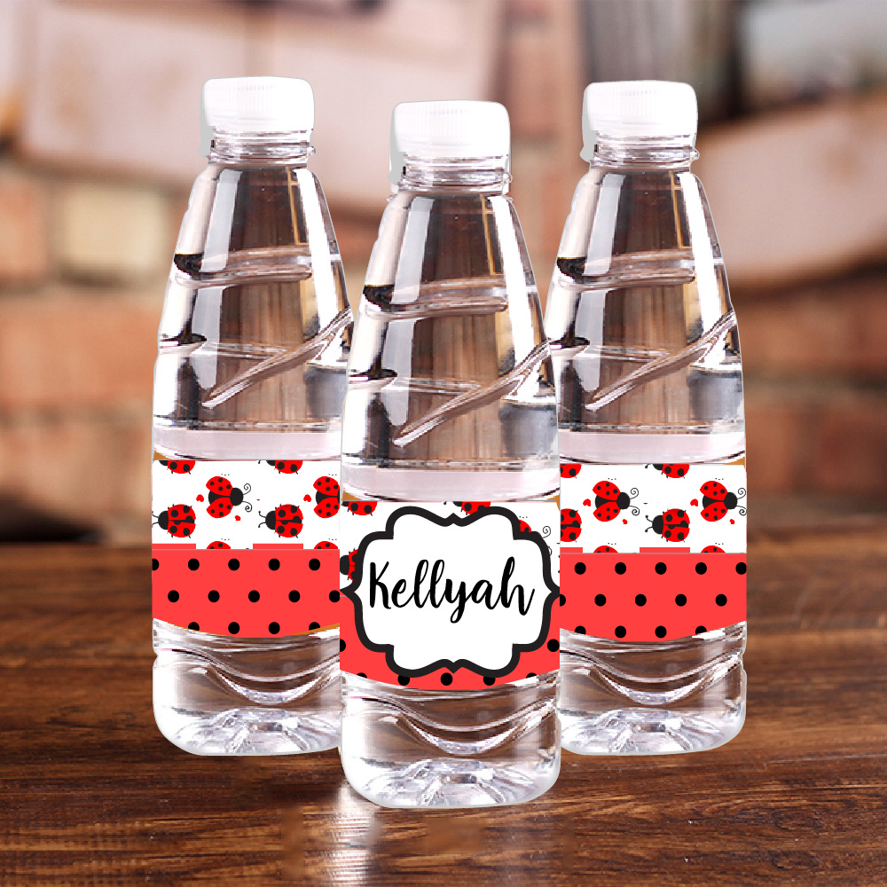 Personalised Ladybug Red Polka - Baby Food Kids review and price
